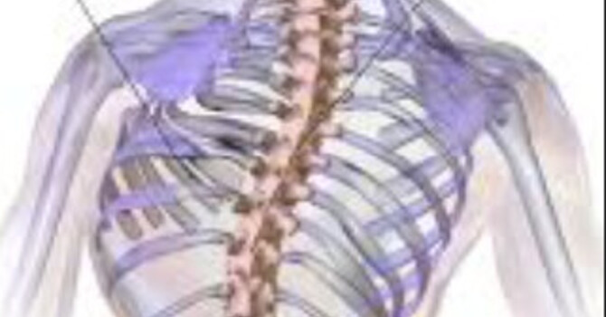 Understanding Scoliosis Biomechanics: Sagittal Alignment, Cervical Mechanics, and Structural Spinal Balance